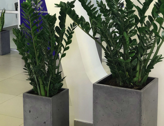 Гостиницы - Изделия из бетона под ключ - «DeConcrete»