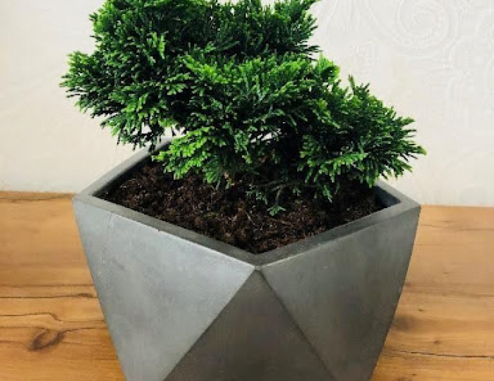 Кашпо - Изделия из бетона под ключ - «DeConcrete»