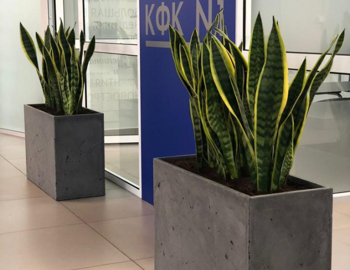 Вазоны и кашпо «Минимал» - Изделия из бетона под ключ - «DeConcrete»